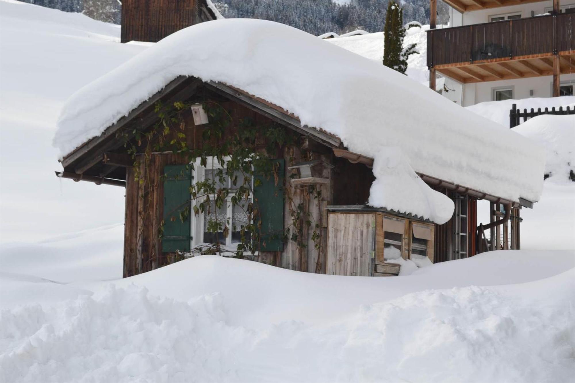 Apartment Haus Wilma *